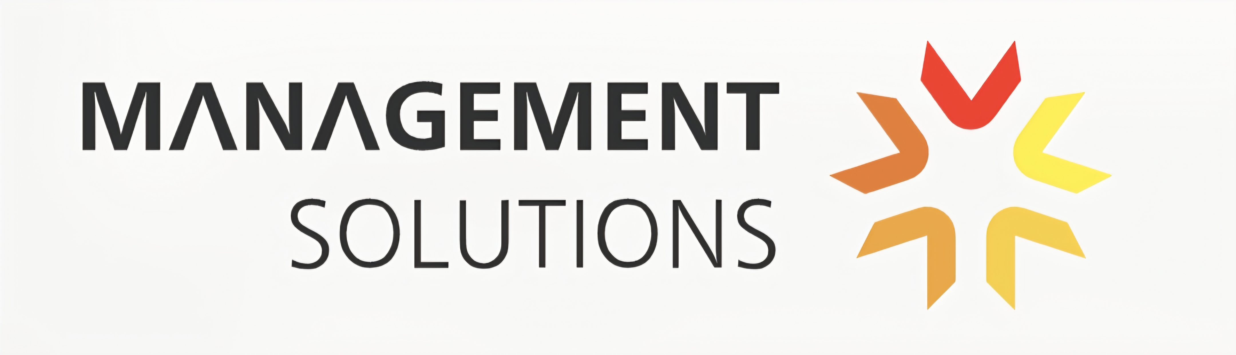 Management Solutions, s.r.o.